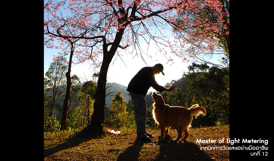 Master of Light Metering_Chapter 12