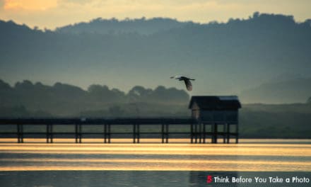 5 Think Before You Take a Photo