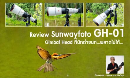 Review Sunwayfoto GH-01 Gimbal Head ที่นักถ่ายนก…พลาดไม่ได้…