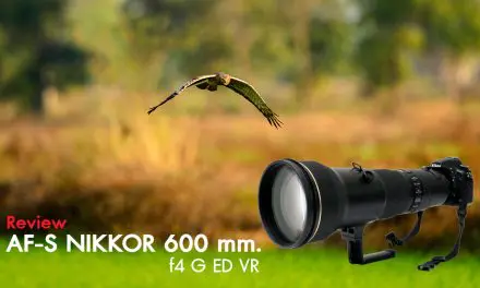 Review AF-S Nikkor 600 mm. f4 G ED VR