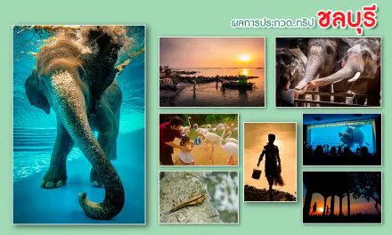 Chon Buri Photo Contest