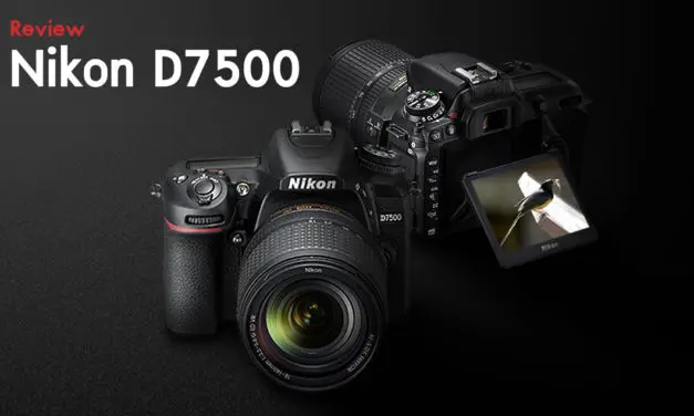 Review Nikon D7500