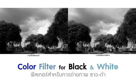 Color Filter for Black&White