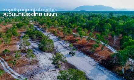 ตะลุยดินแดนซาฟารีแอฟริกา สะวันน่าเมืองไทย จ.พังงา