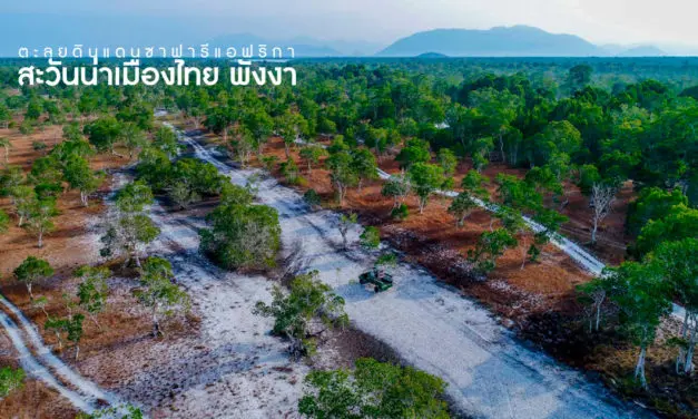 ตะลุยดินแดนซาฟารีแอฟริกา สะวันน่าเมืองไทย จ.พังงา