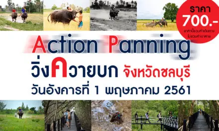 ทริปเที่ยวถ่ายภาพ…Action Panning 2018 วิ่งควายบก