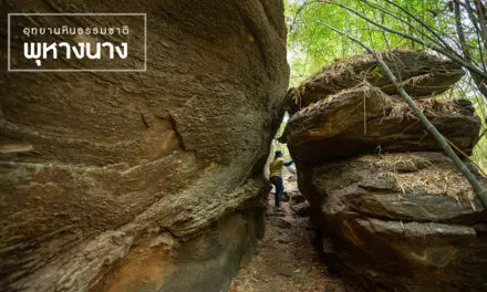 อุทยานหินธรรมชาติ “พุหางนาค”