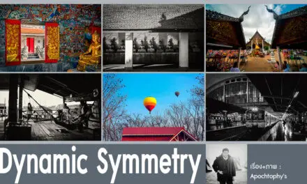 Dynamic Symmetry