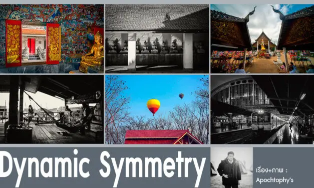 Dynamic Symmetry