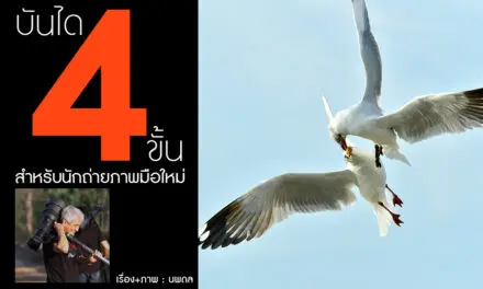 บันได 4 ขั้น สำหรับนักถ่ายภาพมือใหม่