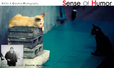 IDEAS&Creative Photography_Sense of Humor