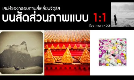 เสน่ห์ของกรอบภาพสี่เหลี่ยมจัตุรัส บนสัดส่วนภาพแบบ 1:1