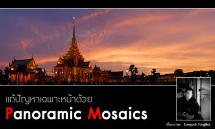 แก้ปัญหาเฉพาะหน้าด้วย Panoramic mosaics