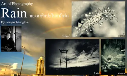 Art of Photography_ Rain มองหาศิลปะในหน้าฝน