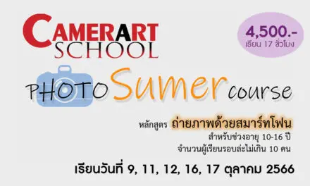 CAMERART SCHOOL