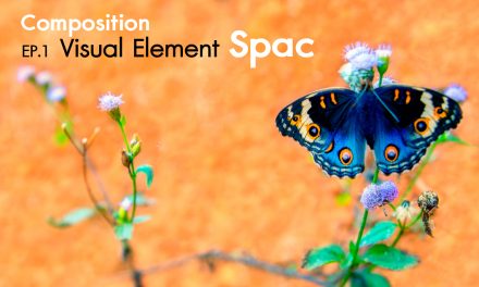 Composition ep.1.4 Visual Element (Space)