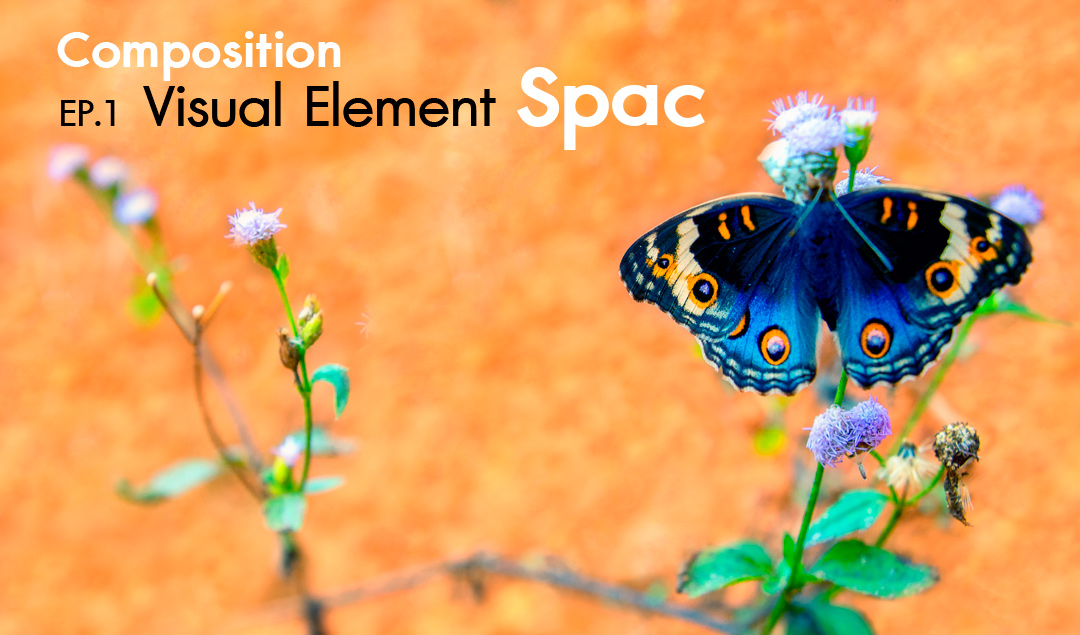 Composition ep.1.4 Visual Element (Space)