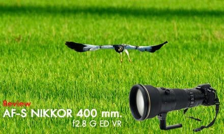 Review AF-S Nikkor 400 mm. f2.8 G ED VR