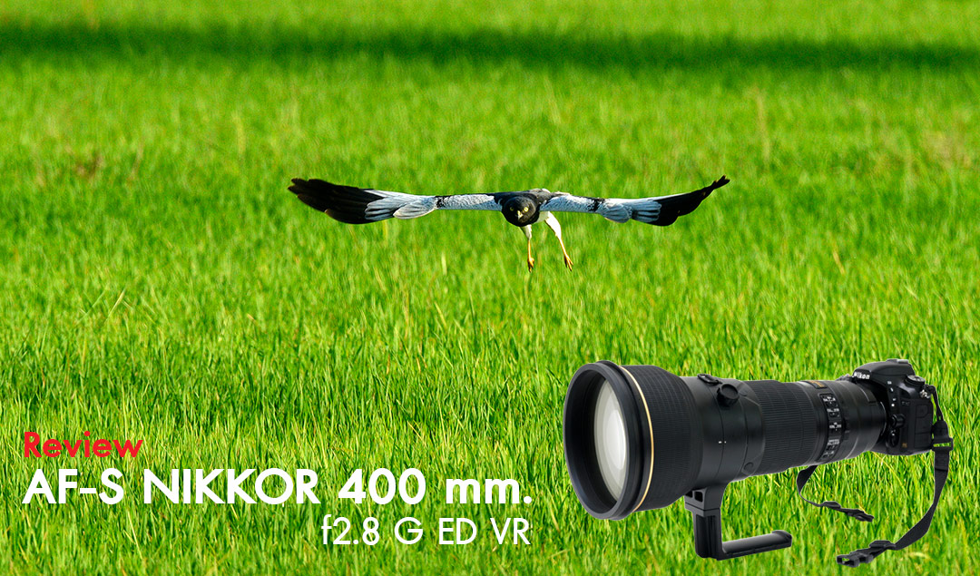 Review AF-S Nikkor 400 mm. f2.8 G ED VR