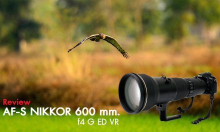 Review AF-S Nikkor 600 mm. f4 G ED VR