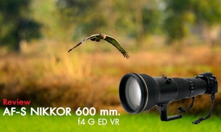 Review AF-S Nikkor 600 mm. f4 G ED VR