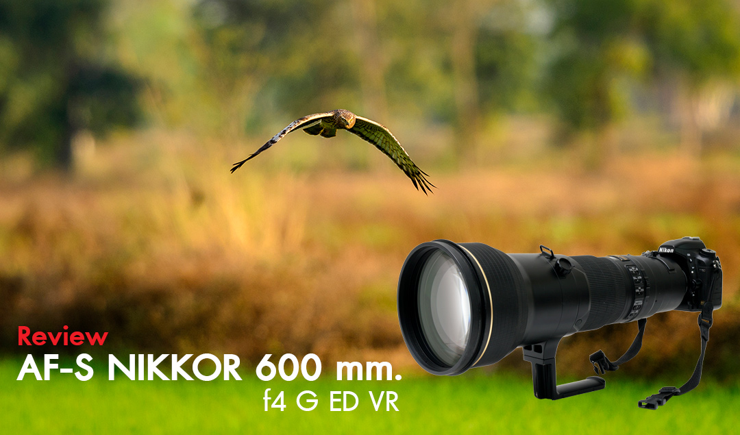 Review AF-S Nikkor 600 mm. f4 G ED VR