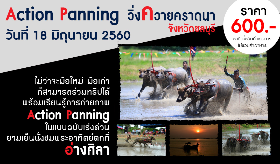 Trip Action Panning (วิ่งควายคราดนา ที่ชลบุรี)