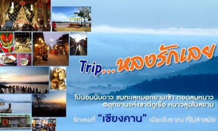 Trip…หลงรักเลย