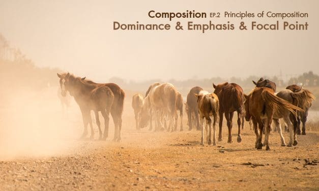 Composition ep.2.4 Principles of Composition (Dominance & Emphasis & Focal Point)