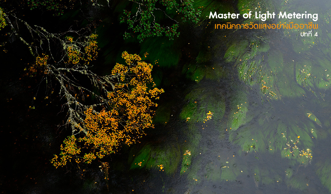 Master of Light Metering_Chapter 4