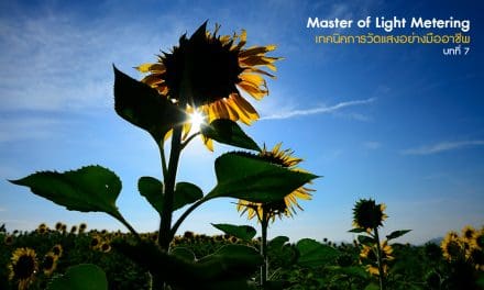 Master of Light Metering_Chapter 7