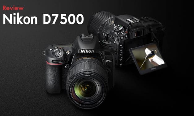 Review Nikon D7500