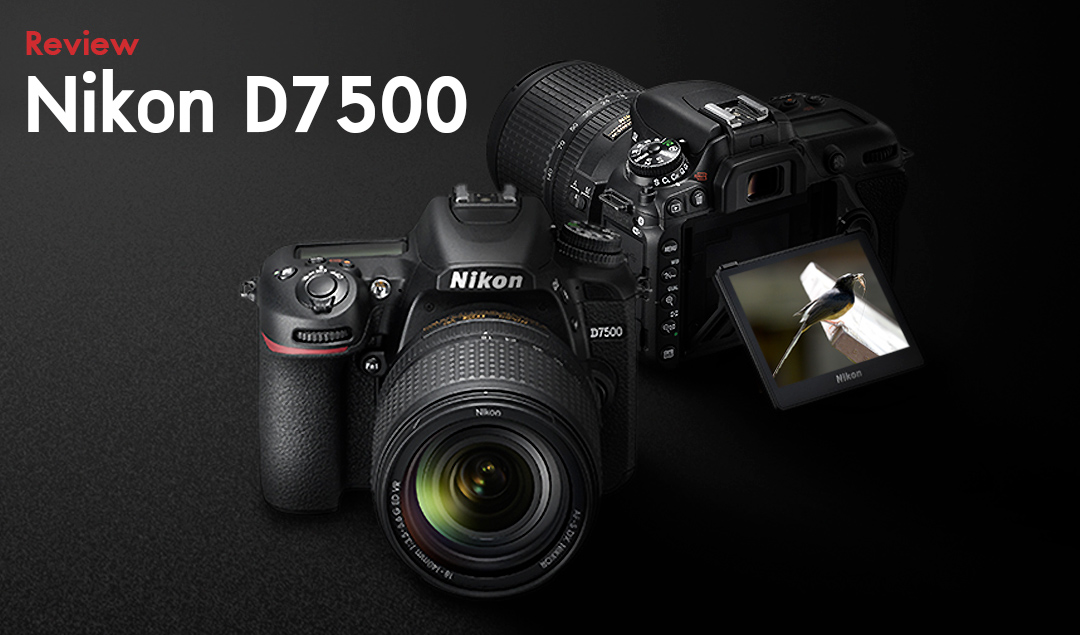 Review Nikon D7500