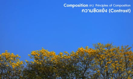 Composition ep.2.6 Principles of Composition (ความขัดแย้ง-Contrast)