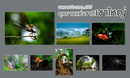 Khao Yai National Park Photo Contest