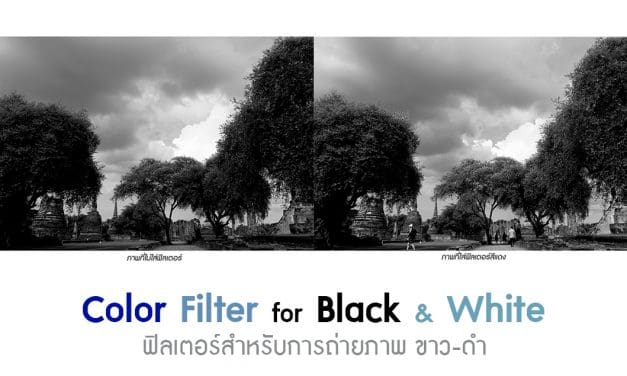 Color Filter for Black&White