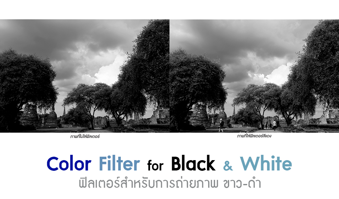 Color Filter for Black&White