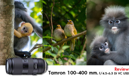 Tamron 100-400 mm. f/4.5-6.3 Di VC USD