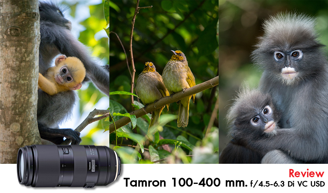 Tamron 100-400 mm. f/4.5-6.3 Di VC USD