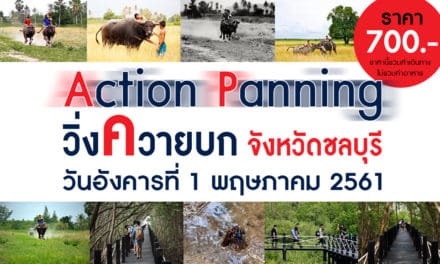 ทริปเที่ยวถ่ายภาพ…Action Panning 2018 วิ่งควายบก