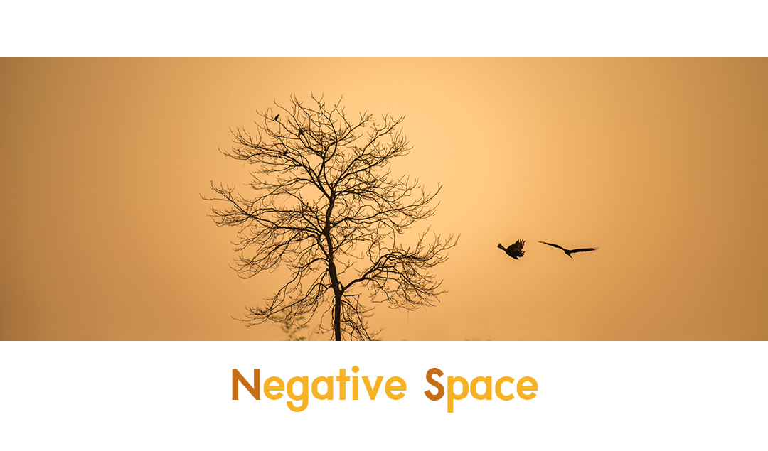 Negative Space