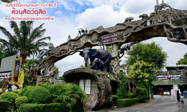 บันทึกไว้ในความทรงจำ กว่า 80 ปี สวนสัตว์ดุสิต สวนสัตว์แห่งแรกของประเทศไทย