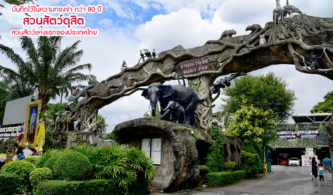 บันทึกไว้ในความทรงจำ กว่า 80 ปี สวนสัตว์ดุสิต สวนสัตว์แห่งแรกของประเทศไทย
