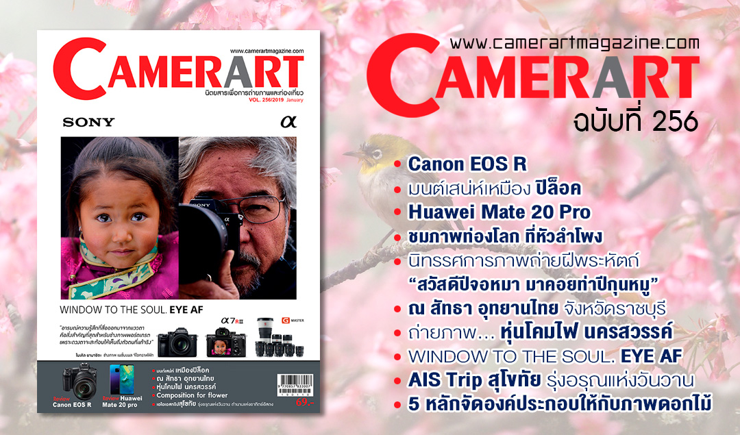 Camerart Magazine VOL.256/2019 January