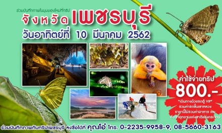 ทริปถ่ายภาพวันเดียว จังหวัดเพชรบุรี 2019