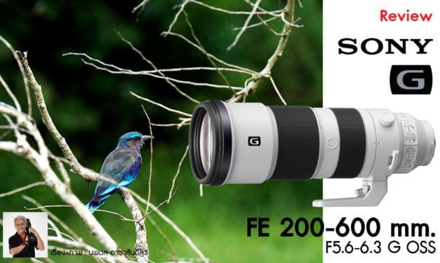 Review Sony FE 200-600 mm. F5.6-6.3 G OSS