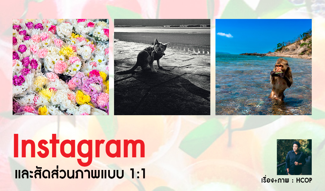 Instagram และสัดส่วนภาพแบบ 1:1