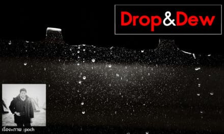 Drop & Dew