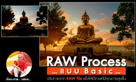 RAW Process แบบ Basic