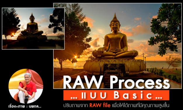 RAW Process แบบ Basic